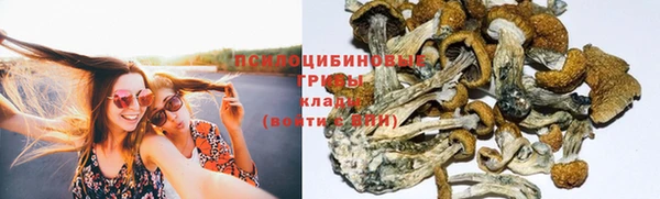 spice Горняк