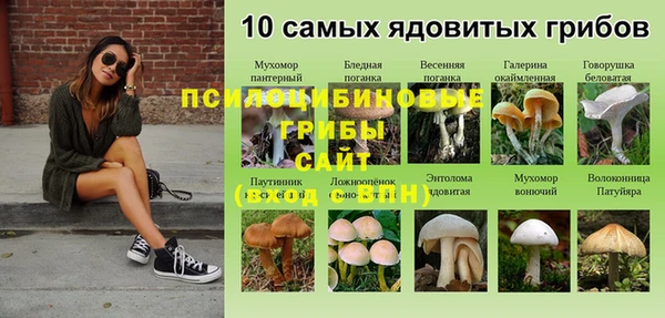 ALPHA PVP Тобольск