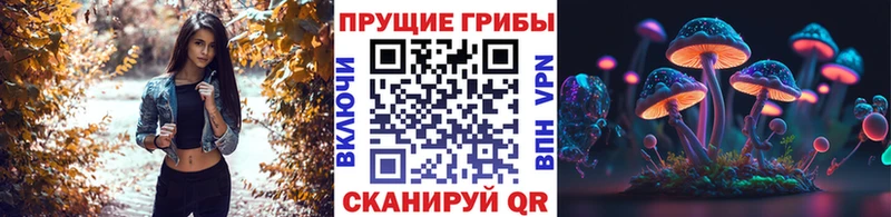 hydra зеркало  Нерюнгри  Псилоцибиновые грибы ЛСД  как найти наркотики 