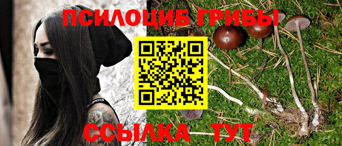 Галлюциногенные грибы Magic Shrooms  Вход с VPN  Галлюциногенные грибы Psilocybe  Нерюнгри 